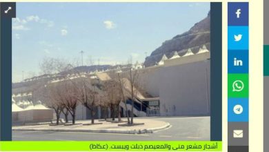 صورة «أمانة مكة» لـ«عكاظ»: نعالج مشكلات الري بالمشاعر  أخبار السعودية