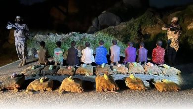 صورة «حرس الحدود» بجازان يقبض على 9 مخالفين لنظام الحدود لتهريبهم 135 كيلوغراماً من القات  أخبار السعودية