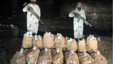 صورة حرس الحدود في جازان يحبط تهريب 300 كيلوجرام من نبات القات المخدر