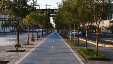صورة مشروعات تأهيل وتطوير الحدائق والمزارع توفّر وجهات سياحية لأهالي وزوار المدينة المنورة