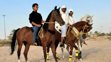 صورة رياضة ركوب الخيل تستهوي الشباب بمنطقة نجران
