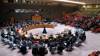 صورة القضية الفلسطينية على طاولة مجلس الأمن الإثنين