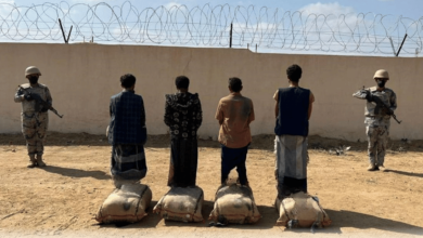 صورة القبض على 4 مخالفين لنظام أمن الحدود لتهريبهم 60 كيلوجرامًا من القات في عسير