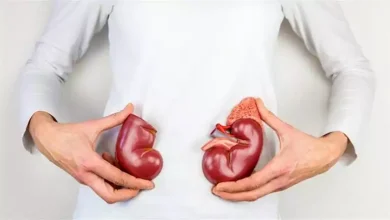 صورة هل الكلى السليمة هي مفتاح تأخير الخرف؟