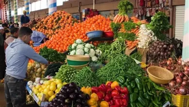 صورة انخفاض الليمون والبطاطس.. أسعار الخضراوات والفاكهة في سوق العبور اليوم