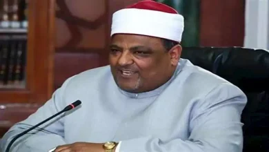 صورة عباس شومان يعلق على حادث حفل محمد رمضان: يجب محاسبة منظمي “الحفلات الت