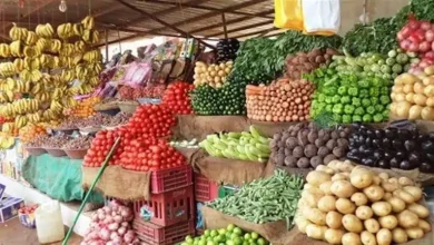 صورة ارتفاع الليمون.. أسعار الخضروات والفاكهة في سوق العبور 27-8-2025