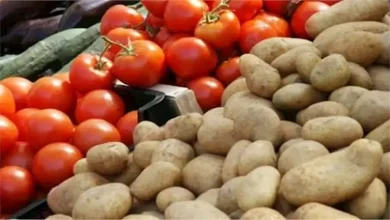 صورة أسعار الخضروات والفاكهة في سوق العبور اليوم 2-6-2025