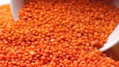 صورة انخفاض العدس والجبن واللحوم اليوم 19-11-2025 بالأسواق
