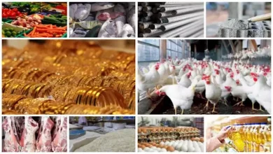 صورة خريطة الأسعار: ارتفاع البصل والدواجن والذهب يستقر اليوم 7-10-2025