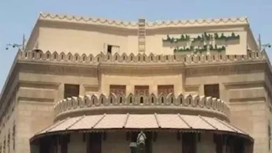 صورة في ذكرى مولده.. 5 معلومات عن العلامة محمد أبوشوشة ترصدها هيئة كبار العلماء
