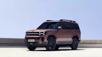 صورة رحلة الهبوط.. هيونداي “Santa Fe” تفقد 450 ألف جنيه من سعرها في 2025
