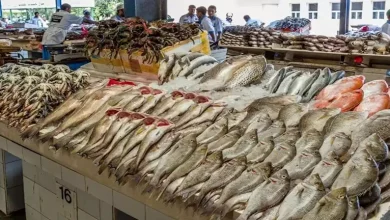 صورة أسعار السمك والمأكولات البحرية في سوق العبور اليوم الثلاثاء