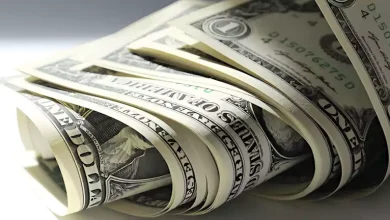صورة انخفاض سعر الدولار مقابل الجنيه في 9 بنوك بنهاية التعاملات 6-11-2025