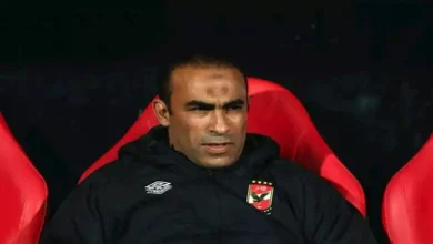 صورة شوبير يكشف حقيقة تدخل عبدالحفيظ في أزمة وليد صلاح والشناوي
