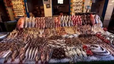 صورة ارتفاع البلطي.. أسعار الأسماك في سوق العبور 7-10-2025