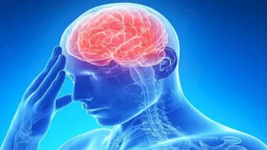 صورة تناولها فورا.. أطعمة تحمي دماغك من السكتات الدماغية