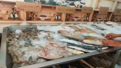 صورة 72 جنيها لكيلو البلطي.. أسعار الأسماك اليوم الخميس في سوق العبور