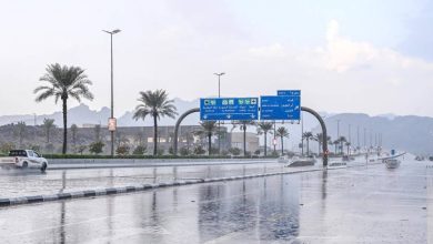 صورة 27 محطة رصد تُسجّل هطول أمطار في 6 مناطق.. والحدود الشمالية الأعلى كمية بـ 33 ملم  أخبار السعودية