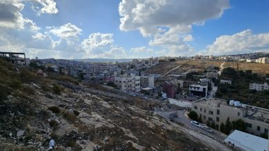 صورة حالة الطقس في فلسطين : أجواء شديدة الحرارة