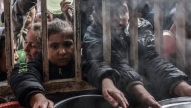 صورة الصحة بغزة: 8 وفيات جديدة بسبب المجاعة وسوء التغذية