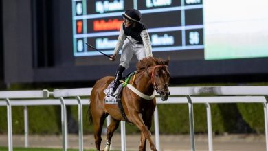 صورة نادي سباقات الخيل ينظّم أسبوعه الثامن لموسم الرياض الـ “61  62