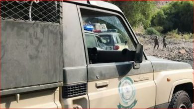 صورة دوريات المجاهدين بجازان تقبض على مواطن لنقله 9 مخالفين لنظام أمن الحدود