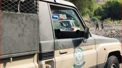 صورة «دوريات المجاهدين» بجازان تحبط تهريب 260 كيلوجرامًا من القات المخدر