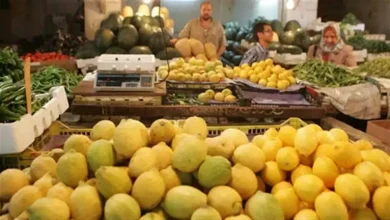 صورة ارتفاع الليمون.. أسعار الخضروات والفاكهة اليوم في سوق العبور 23-5-2025