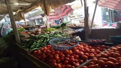 صورة ارتفاع الفلفل والملوخية.. أسعار الخضراوات والفاكهة في سوق العبور اليوم