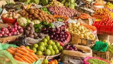 صورة ارتفاع الخيار.. أسعار الخضروات والفاكهة في سوق العبور اليوم