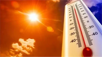 صورة في الطقس الحار.. أطعمة تعزز صحة الجلد وتحميك من أضرار الشمس