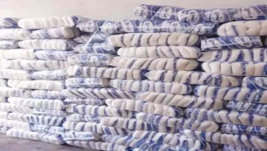 صورة ارتفاع أسعار السكر والأرز والجبن اليوم الاثنين بالأسواق (موقع رسمي)