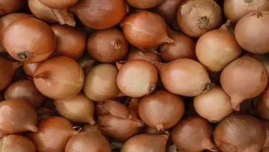 صورة 24 جنيهًا لكيلو البصل.. أسعار الخضروات والفاكهة في سوق العبور اليوم