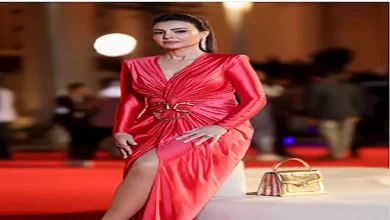 صورة بإطلالة أنيقة.. دينا فؤاد تخطف الأنظار في أحدث ظهور