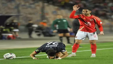 صورة “عائق وحيد للرحيل”.. سباق مغربي لضم رضا سليم من الأهلي