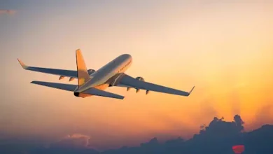 صورة راكب يتسبب في هبوط طائرة
