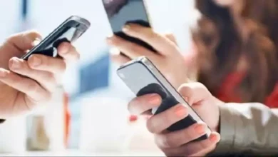 صورة كيف قيم المصريون تطبيق “تليفوني” وما هي أكثر الشكاوى والمخاوف؟