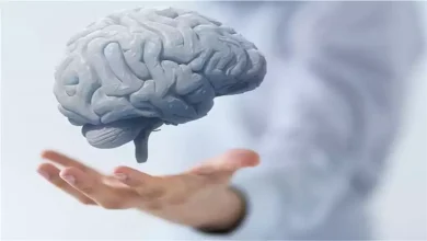 صورة حقائق مذهلة عن الدماغ البشري