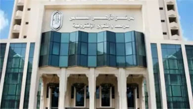 صورة باحثة بمرصد الأزهر: التخبيب الإلكتروني خطر يهدد العلاقات الاجتماعية والأسرية
