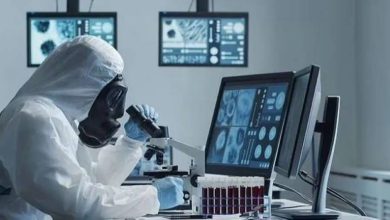 صورة اختفاء 3 فايروسات «خطيرة» من مختبر في كوينزلاند !  أخبار السعودية
