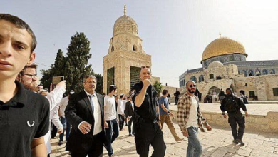 صورة قانون إعدام الاسرى الفلسطينيين يعود للكنيست مرة اخرى