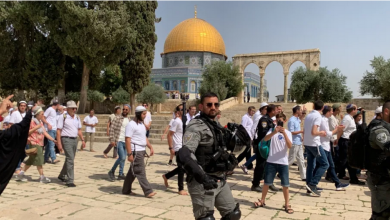 صورة تقرير : تضييقات واسعة وتصاعد الانتهاكات الإسرائيلية في القدس