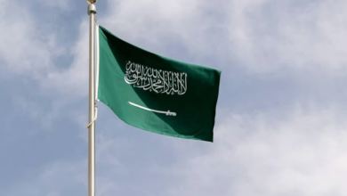 صورة المعلومات الصادرة تنشر عبر الوسائل والحسابات الرسمية