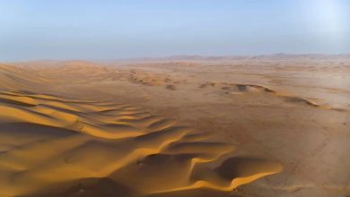 صورة محمية عروق بني معارض.. أيقونة البرية في الجزيرة العربية
