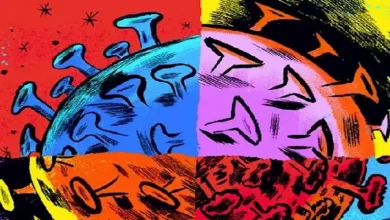 صورة إنفلونزا الطيور يثير قلقا بعد اكتشاف طفرة لدى مريض أمريكي.. هذه أعراضه