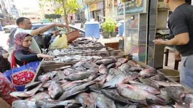 صورة أسعار الأسماك والمأكولات البحرية اليوم الخميس في سوق العبور