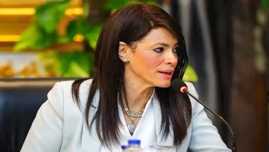 صورة رانيا المشاط: استراتيجيتان للاستثمار الأجنبي المُباشر والتنمية الصناعية