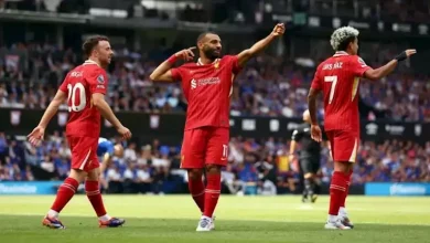 صورة بص مباشر لمباراة ليفربول وبرينتفورد بالدوري الإنجليزي
