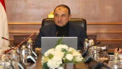 صورة شيمي: نستهدف توفير مدخلات الإنتاج محليًا لمصانع الغزل والنسيج